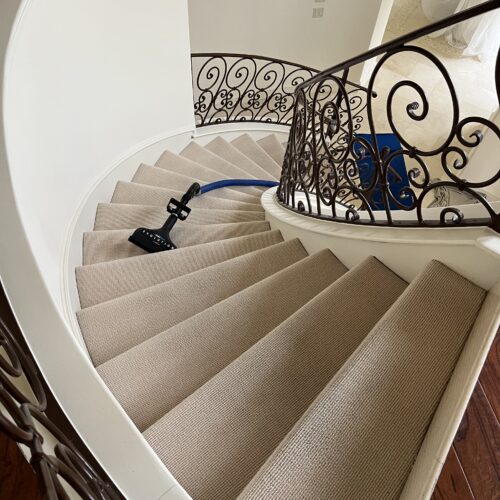 Carpet Cleaning in Plano, TX